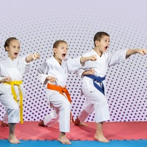 Martial Arts Lessons for Kids in Ramsey NJ - Punching Focus Kids Sync