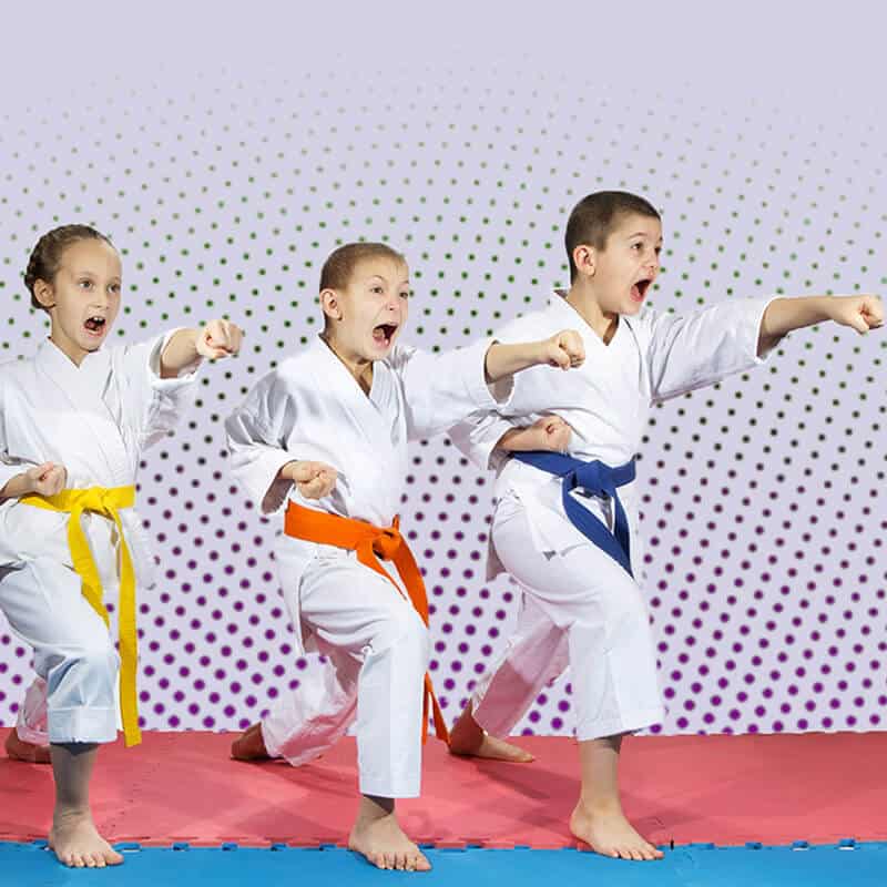 Martial Arts Lessons for Kids in Ramsey NJ - Punching Focus Kids Sync